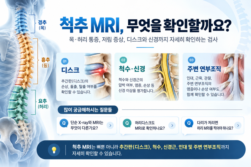 목·허리 통증, 척추 MRI는 무엇을 확인할까요? ｜ 경추·흉추·요추 MRI 검사 안내